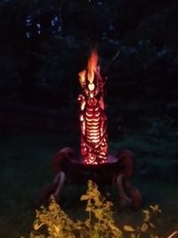 Feuerdrachen auf Feuerschale